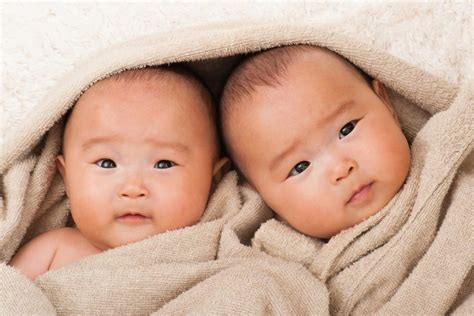 Twin Peaks More Human Twins Are Being Born Than Ever Before