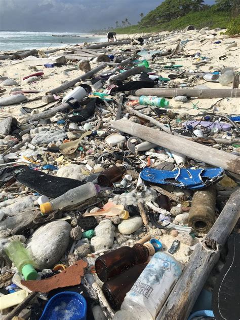 The Beach Is Littered With Plastic Bottles And Debris