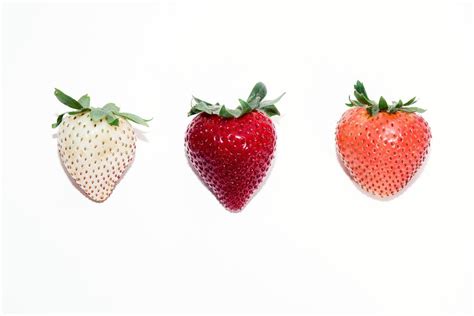 How Driscolls Is Hacking The Strawberry Of The Future Strawberry
