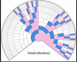 Female X Inheritance Chart Dna Genealogy Genealogy Chart Ancestry Dna