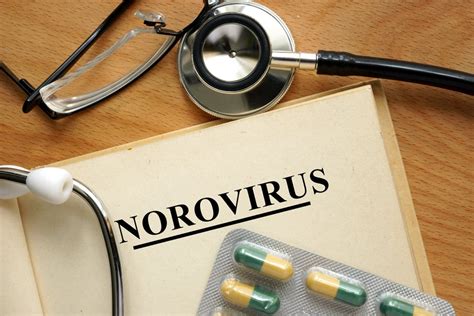 10 Causes And Symptoms Of Norovirus Facty Health