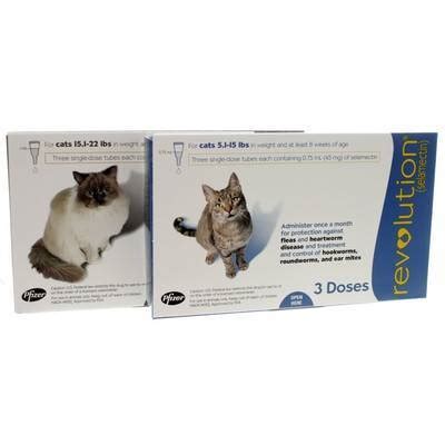 Prior to administration of revolution, cats should be tested for existing heartworm infections. Revolution for Cats - Heartworm/Flea Med | VetRxDirect