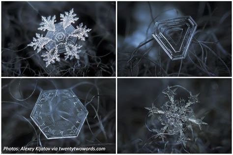Super Sized Snowflakes Bedtime Math