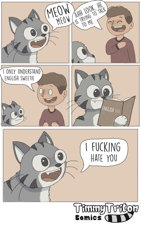 Meow Comic Meme By Timmytriton Memedroid