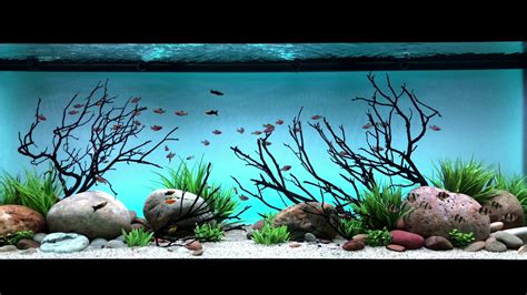 Freshwater Aquarium Wallpaper