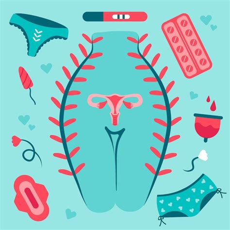 Ilustraciones De Sistema Reproductor Femenino Vector Gratis