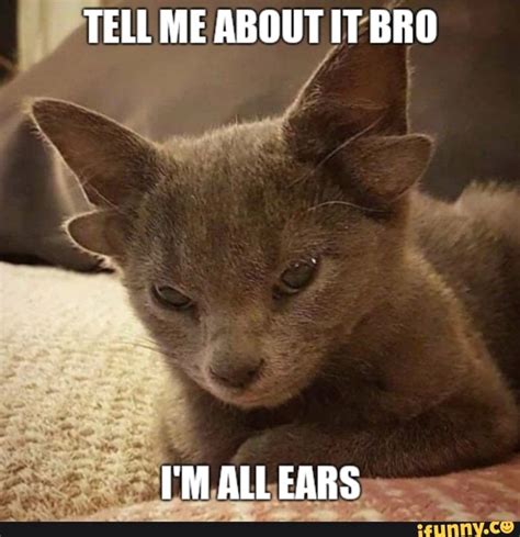 Tell Me About It Bro Im All Ears Ifunny