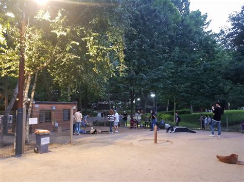 보라매공원테니스장 예약시 주의사항 * 코트예약은 서울시공공서비스예약 사이트에서 가능합니다. 서울 애견운동장 보라매공원 반려견놀이터 - 비마이펫 라이프