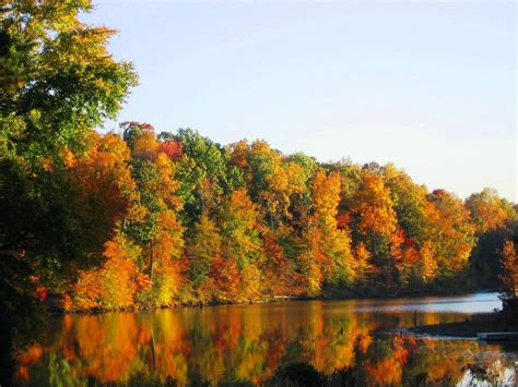 Wallpaper Trees Landscape Fall Leaves Lake Water Red