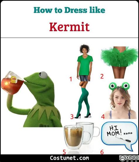 Kermit The Frog Meme Costume