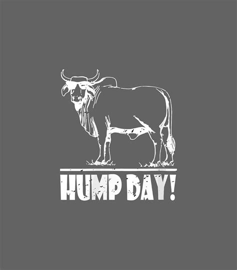 Zebu Cattle Brahma Bulls Funny Hump Day Meme Distressed Digital Art By
