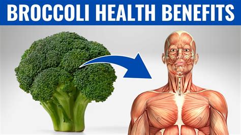 Benefits Of Broccoli Reasons To Eat Broccoli Every Day Youtube