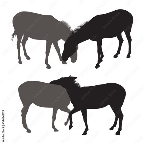 Vector Illustration Of Two Couples Of Donkeys Realistic Silhouette Of