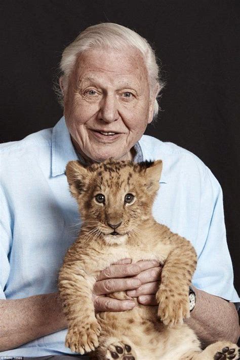 david attenborough | David attenborough, Cat people, Cats