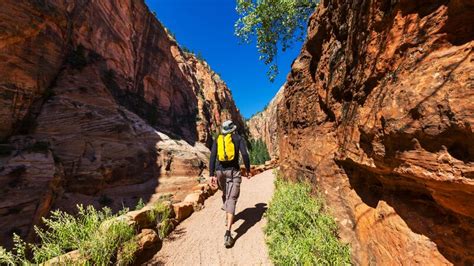 The 8 Best Hikes In Zion National Park Intrepid Travel Blog The Journal