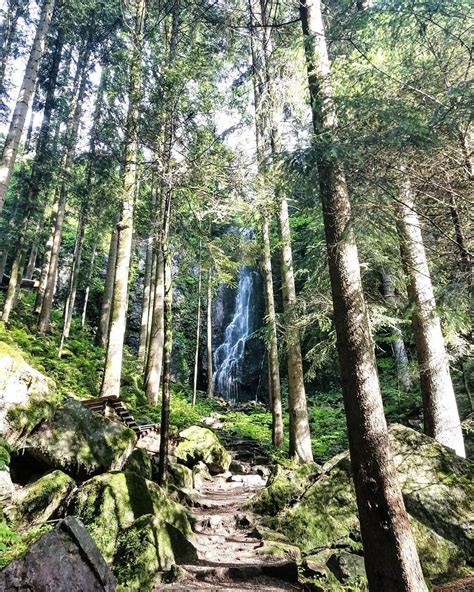🌲wandering Hidden Waterfalls 🌲i Think This Is My Favorite Waterfall It