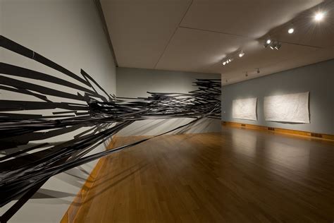 Self taught artist comes up with her own ideas / concepts and drawings. Drawing in Space - Des Moines Art Center