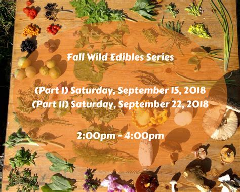 Fall Wild Edibles Series Blandford Nature Center