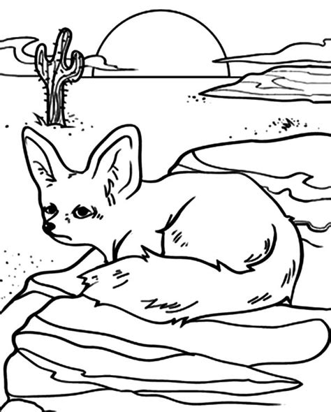 Https://techalive.net/coloring Page/arizona Desert Animals Coloring Pages