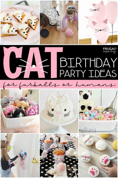 Cat Themed Birthday Party Food Ideas Black Cat Cake Recipe Bbc Good