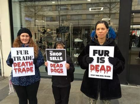 Vegans Step Up Anti Fur Protest Outside Plymouth Flannels Store Devon Live
