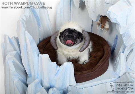 Hoth Wampug Cave Dog Bed Of Course Well See Master Luke