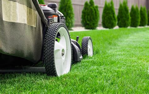 Lawn weeds such as crabgrass and dandelions pose one of the most persistent — and annoying — challenges in the great american quest to grow decent grass. 3 Tips for Pest and Weed Control by San Antonio Lawn Care ...