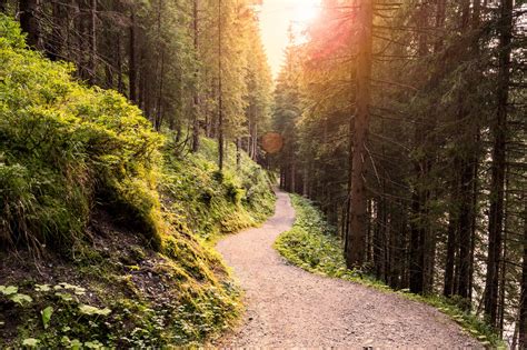 Each of our properties listed features a unique selection of amenities, as well as localized and regional. Why Getting Back to Nature is Overrated