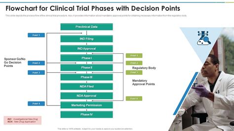 Clinical Trial Phases Flowchart For Clinical Trial Phases With Decision