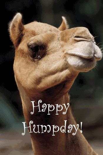 Wednesday Graphic Animated Gif - Picgifs wednesday 47021
