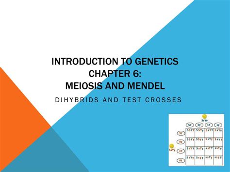 Ppt Introduction To Genetics Chapter 6 Meiosis And