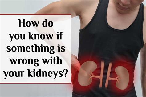 How Do You Know If Your Kidneys Hurt