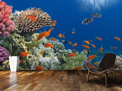 Tropical Fish On Coral Reef Tropical Fish Wall Murals