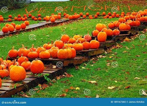 Vermont In Pumpkins Stock Image Image Of Commercial 189167365