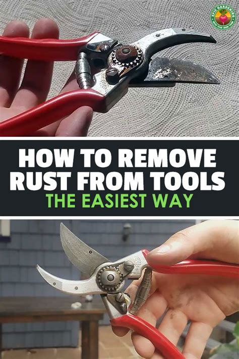 Check spelling or type a new query. How to Remove Rust From Tools The Easiest Way | Epic ...