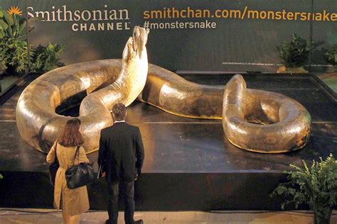 The Largest Snake In The World Titanoboa Blissful Life