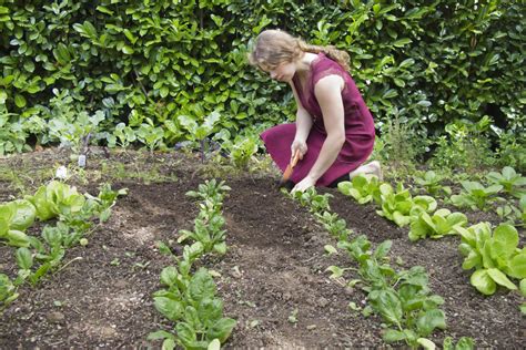 What Is Organic Gardening Definition