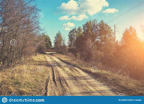 Country Dirt Road In Evening At Sunset Light Stock Photo Image Of