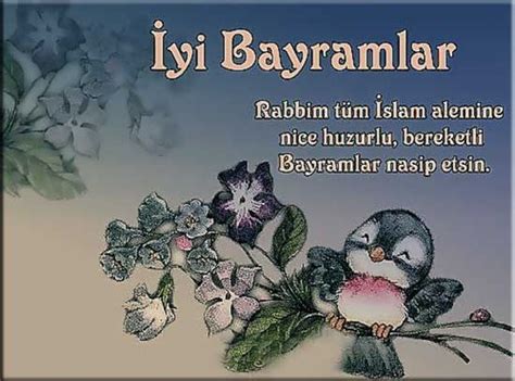 We did not find results for: Kurban Bayramı mesajları 2018! Resimli en güzel ve anlamlı ...