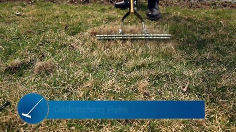 Jul 12, 2021 · whenever you are conducting a monthly lawn maintenance, always remember these 6 steps. Tips for a Better Yard: Dethatching and Aerating - YouTube