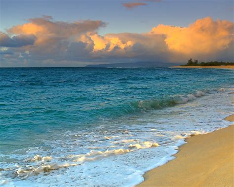 Free Download Hawaii Background Screensaver Beach Beaches Media