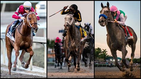 The Fantastic Five Ranking The Best Pegasus World Cup Winners