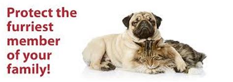 Reason For Pet insurance policies - Doglopedix