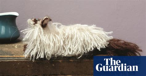 Best In Show Knit Your Own Cat Life And Style The Guardian