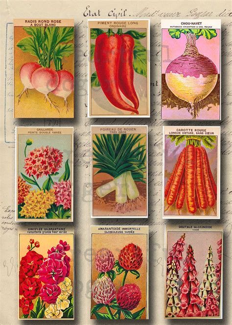 Vintage Seed Packets Seed Packets Garden Tags