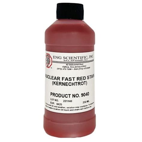 Eng Scientific Nuclear Fast Red Stain Kemechtrot Nuclear Fast Red Stain Fisher Scientific