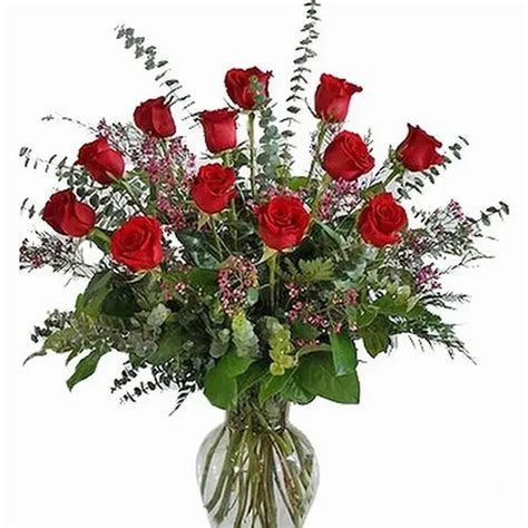 Premium Dozen Red Rose Elegance