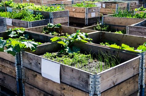 Galvanized metal garden bed bundle. 25 DIY Raised Garden Beds: Corrugated Metal, Wood, Galvanized