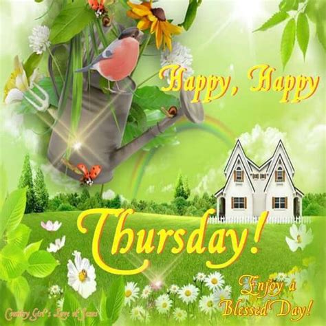 Bird Happy Happy Thursday Image Pictures Photos And Images For