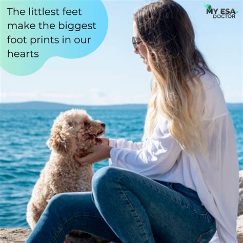Under these esa laws, the owner of an esa needs a recommendation. Get An Emotional Support Animal Letter in 2020 | Emotional support animal, Emotional support dog ...